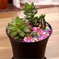 thumbnail image 5 of 10PcsBlack Round Flower Pots High Waist for Indoor and Outdoor Plants, 5 of 5
