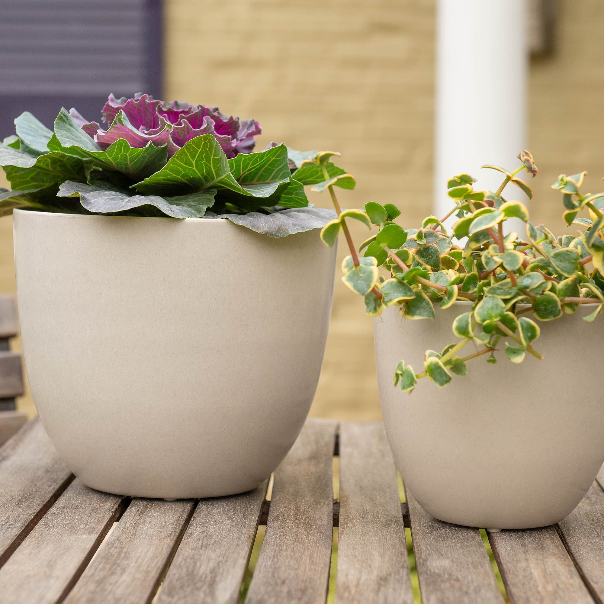 Root & Vessel Bola Round Planter, Bone, 13"