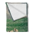 thumbnail image 2 of Farm Animal Soft Flannel Fleece Blanket, Husbandry Themed Photo with Sheep Grazing on Grass in Iceland Nature, Cozy Plush for Indoor and Outdoor Use, 50" x 70", Ecru and Fern Green, by Ambesonne, 2 of 5