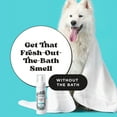 thumbnail image 3 of Pet-Pourri Rinse-Free Deodorizing Shampoo Foam, Pawsitively Fresh, 6 fl oz, 3 of 10