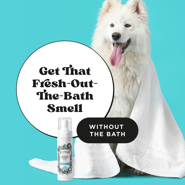 Pet-Pourri Rinse-Free Dry Shampoo, Pineapple photo 2