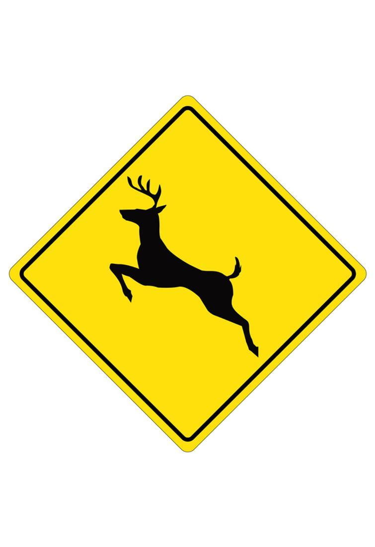 Deer Crossing Sign Poster - 13x19 - Walmart.com