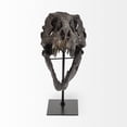 thumbnail image 2 of Brown Resin Tyrannosaurus Rex Skull DÃ©cor Piece, 2 of 6