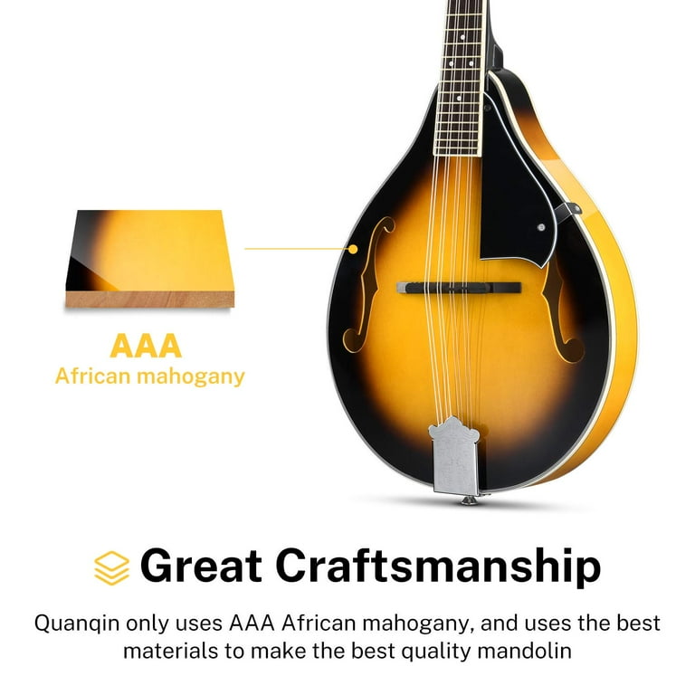 Donner a cheap style mandolin