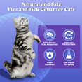 Flea and Tick Collar for Kittens, 8 Months of Cat Flea Collar