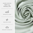 thumbnail image 2 of Fishers Finery 25 Momme 100% Pure Mulberry Silk Pillowcase for Hair & Skin, Grade 6A, King, Light Green, 2 Pack, 2 of 6