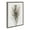 Gray, variant on Kate and Laurel Sylvie Peacock Feather Framed Canvas Wall Art by Simon Te of Tai Prints, 18x24 Gold, Soft Animal Bird Feather Art for Wall