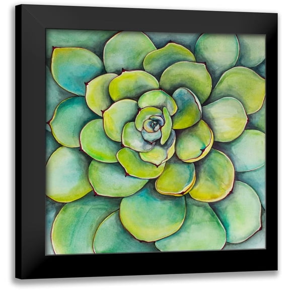 Atelier B Art Studio 12x12 Black Modern Framed Museum Art Print Titled - Watercolor Succulent Plant