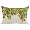 thumbnail image 2 of Summer Lemon Throw Pillow Covers, Green Botancial Summer Yellow Fruits Rustic Soft Breathable Pillow Cases with Invisible Zipper for Sleeping, Body Pillowcases for Couch Bed Sofa Chair 24x36 Inches, 2 of 6