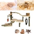 Curated visual reference: Visual Reference: Hamster Ladder Toy Providing Safe And Exciting Space For Hamster