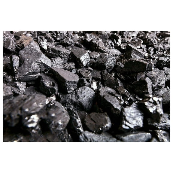 Blacksmithing and Stove Coal 15lbs