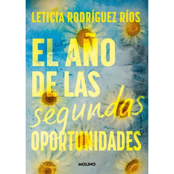 El AÃ±o de Las Segundas Oportunidades / The Year of Second Chances, (Paperback)