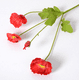thumbnail image 1 of Xiao Hua 6 flores artificiales de amapola de maíz, flores falsas, flores artificiales para decoración de bodas, 1 of 5