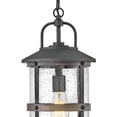 thumbnail image 2 of Hinkley Lighting - Outdoor - Lakehouse - 1 Light Medium Outdoor Hanging Lantern, 2 of 4