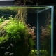 thumbnail image 4 of 10 soportes para varillas de calefacción de acuario, clips para lámpara, clips de montaje para tubo de luz de pecera, 4 of 8