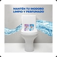 thumbnail image 4 of Pastilla Sanitaria en canastilla para inodoros Pato brisa marina 18 gr, 4 of 4