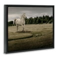 thumbnail image 3 of Stupell Industries Galloping Through Field Horse Black Framed Floater Canvas Wall Art design by Marcus Prime, 25 x 31, 3 of 9