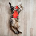 thumbnail image 2 of 1Pc Cat Fish Toy Realistic Fish Model Wiggle Fish Toy Electric Flopping Fish, 2 of 5