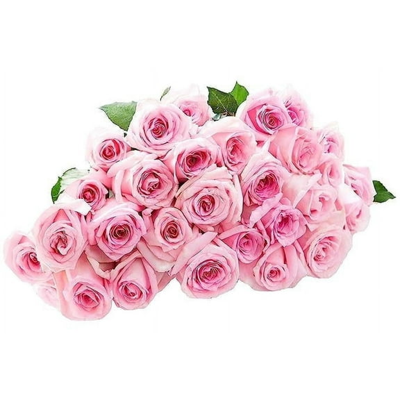 KaBloom : Fall Collection-Bulk 100 Pink Roses, Next-Day Delivery, Gift of Fresh Flowers for Every Occasion.