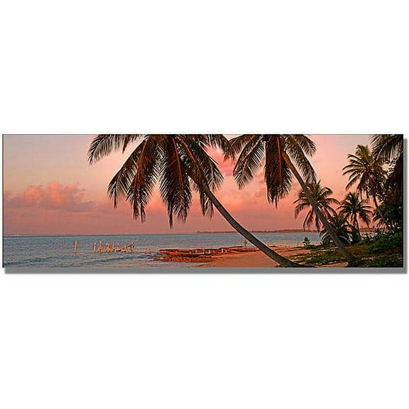 Trademark Art "Cayman Palms II" Canvas Wall Art by Preston