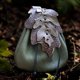 thumbnail image 1 of Bolso de cintura Festival al aire libre mujeres accesorios portátiles hombres Cosplay cinturón, 1 of 8