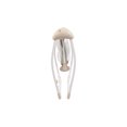 thumbnail image 3 of Columpio Electronico Carestino GRIS, 3 of 3