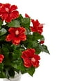 thumbnail image 3 of Nearly Natural 6976 Hibiscus in Swirl Planter, 3 of 3