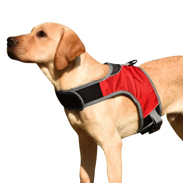 Arnés para perros Chaleco acolchado cómodo ajustable reflectante para medianos y grandes
