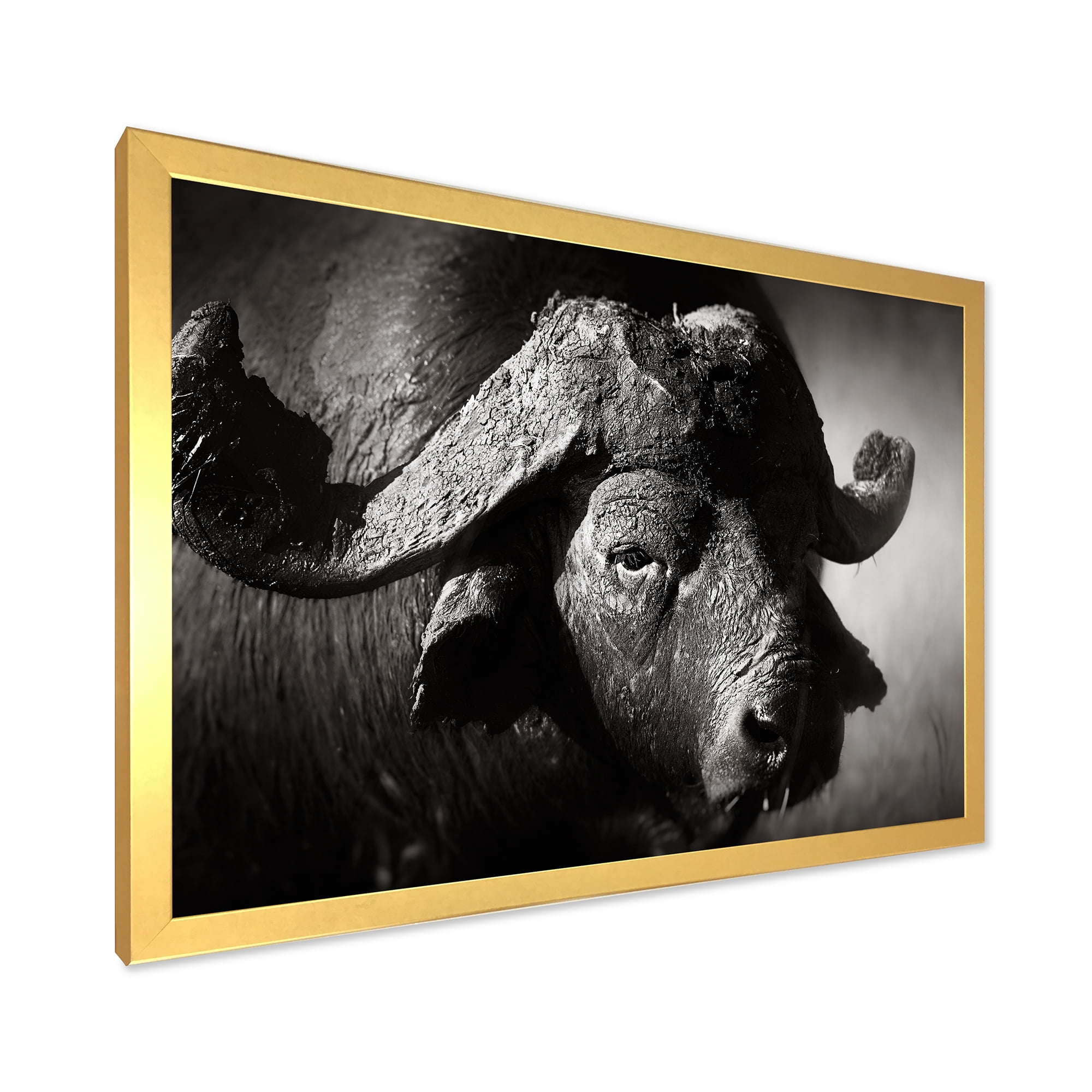 Designart 'Black and White Portrait Of Buffalo II' Farmhouse Framed Art Print
