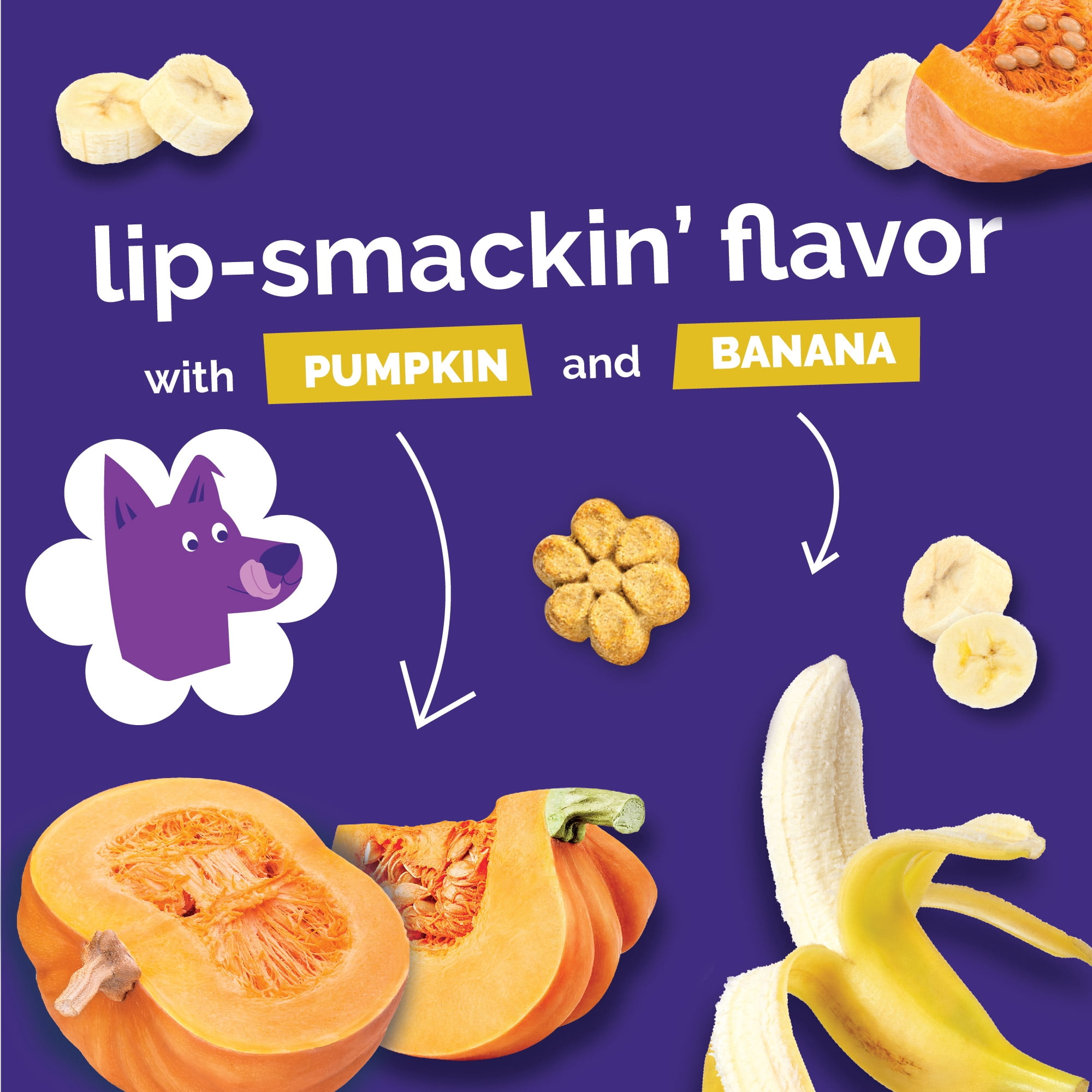 Fruitables Baked Pumpkin and Banana Treats for Dogs– 12 Ounces