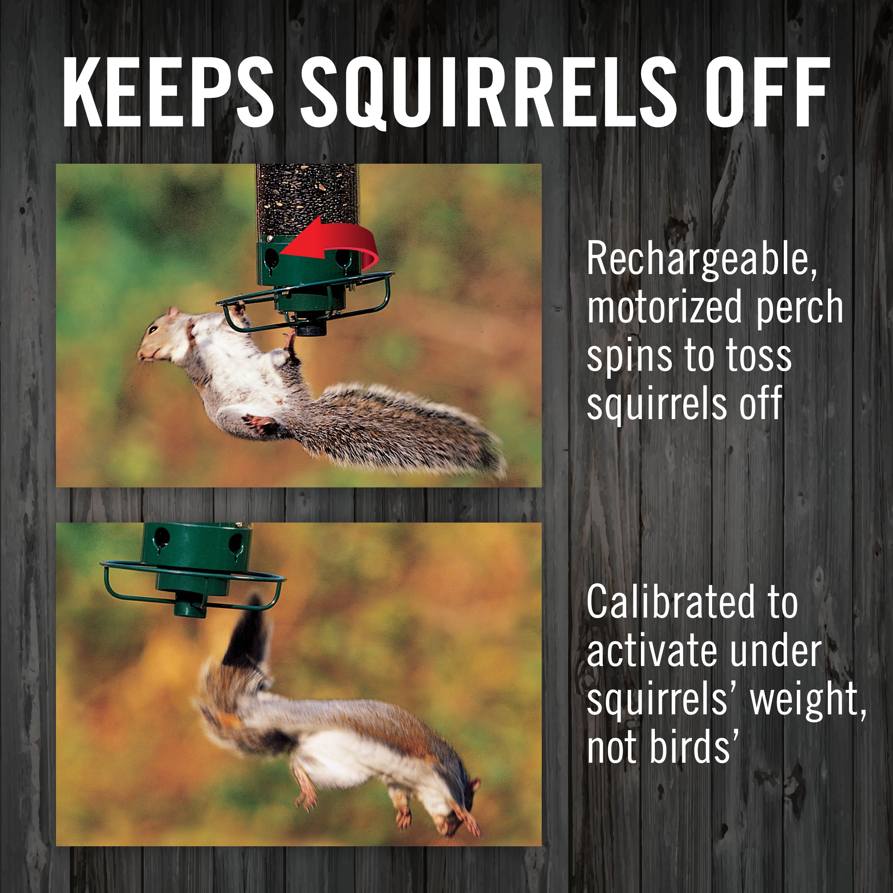 Droll Yankees Squirrel Proof Bird Feeders for Outdoors - YF-M - Flipper, Collapsible Perches, 5-Pound Seed Capacity, Green
