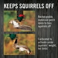 thumbnail image 6 of Droll Yankees Flipper Squirrel-Proof Tube Bird Feeder - Green - 5 lb. capacity, 6 of 15