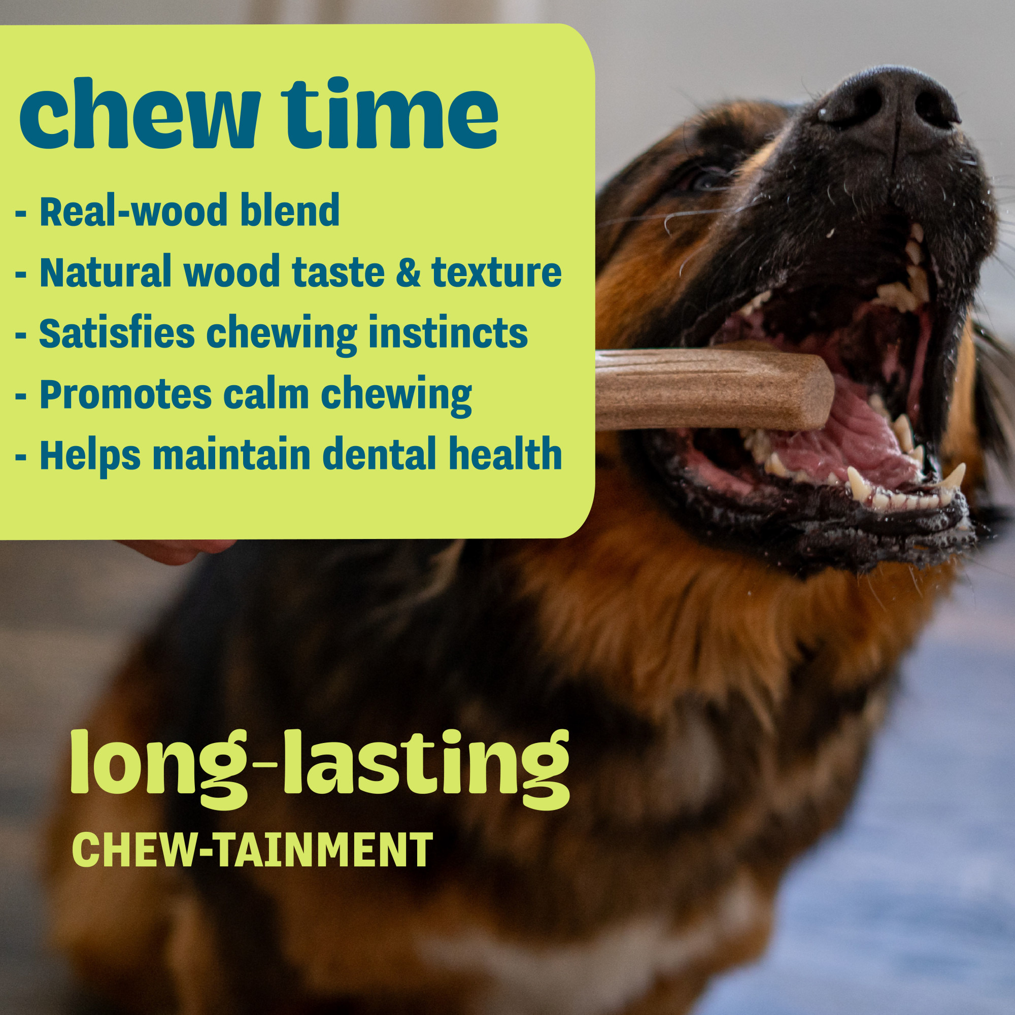 Petstages Pupstages Super Dogwood Dog Chew, Large photo 4