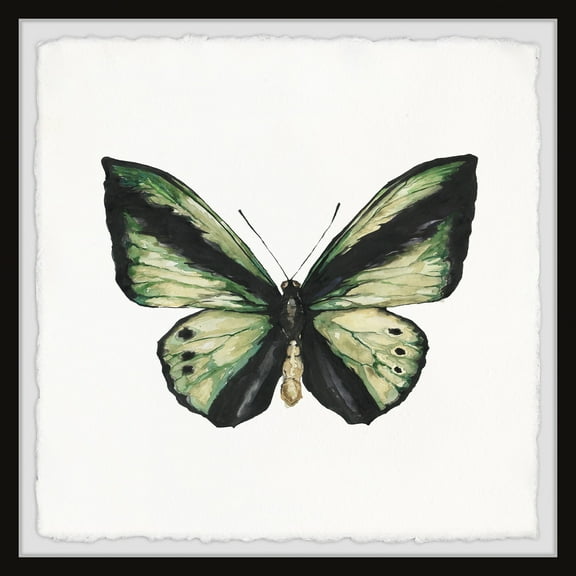 Marmont Hill Butterfly Butterflies Framed Art Prints