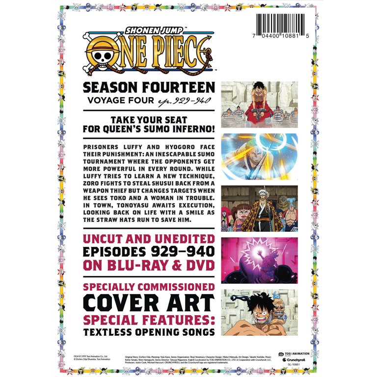 その他 De L'Autre Cote Du Pays [DVD] One Piece: Season 14 Voyage 4 - Walmart.com