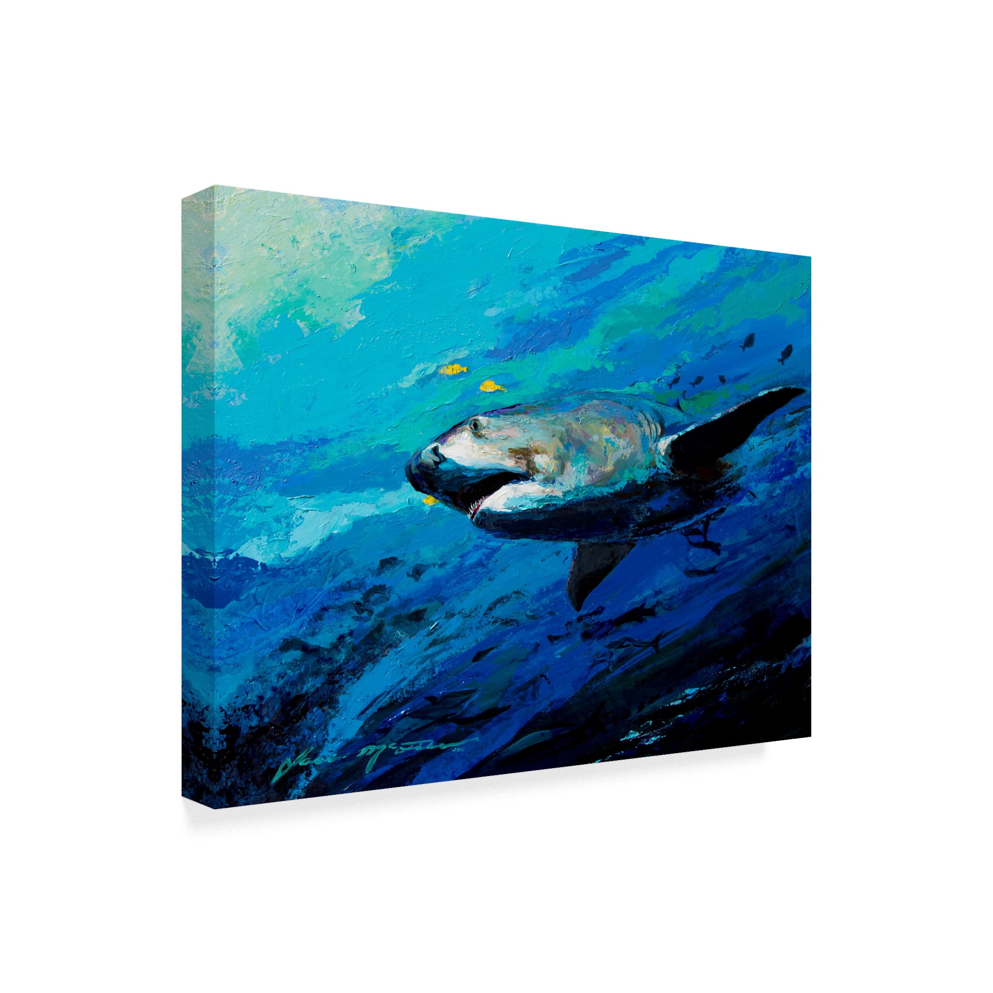 Trademark Fine Art 'The Mighty Bull Shark' Canvas Art by Jace D. Mctier