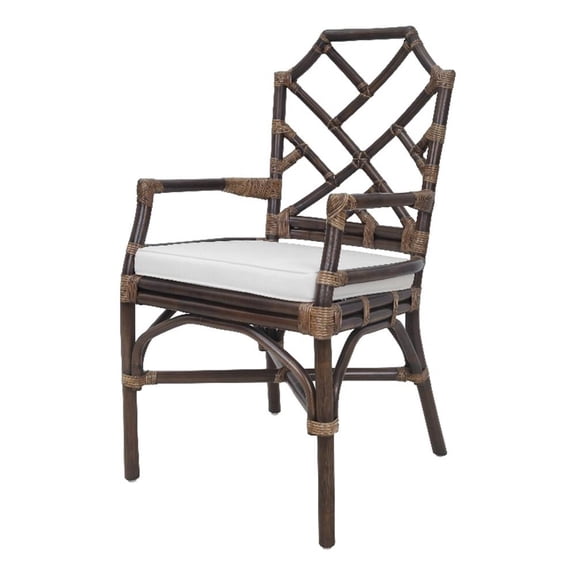 NPD Furniture Kara 21" Fabric and Rattan Arm Chair in Paloma Brown