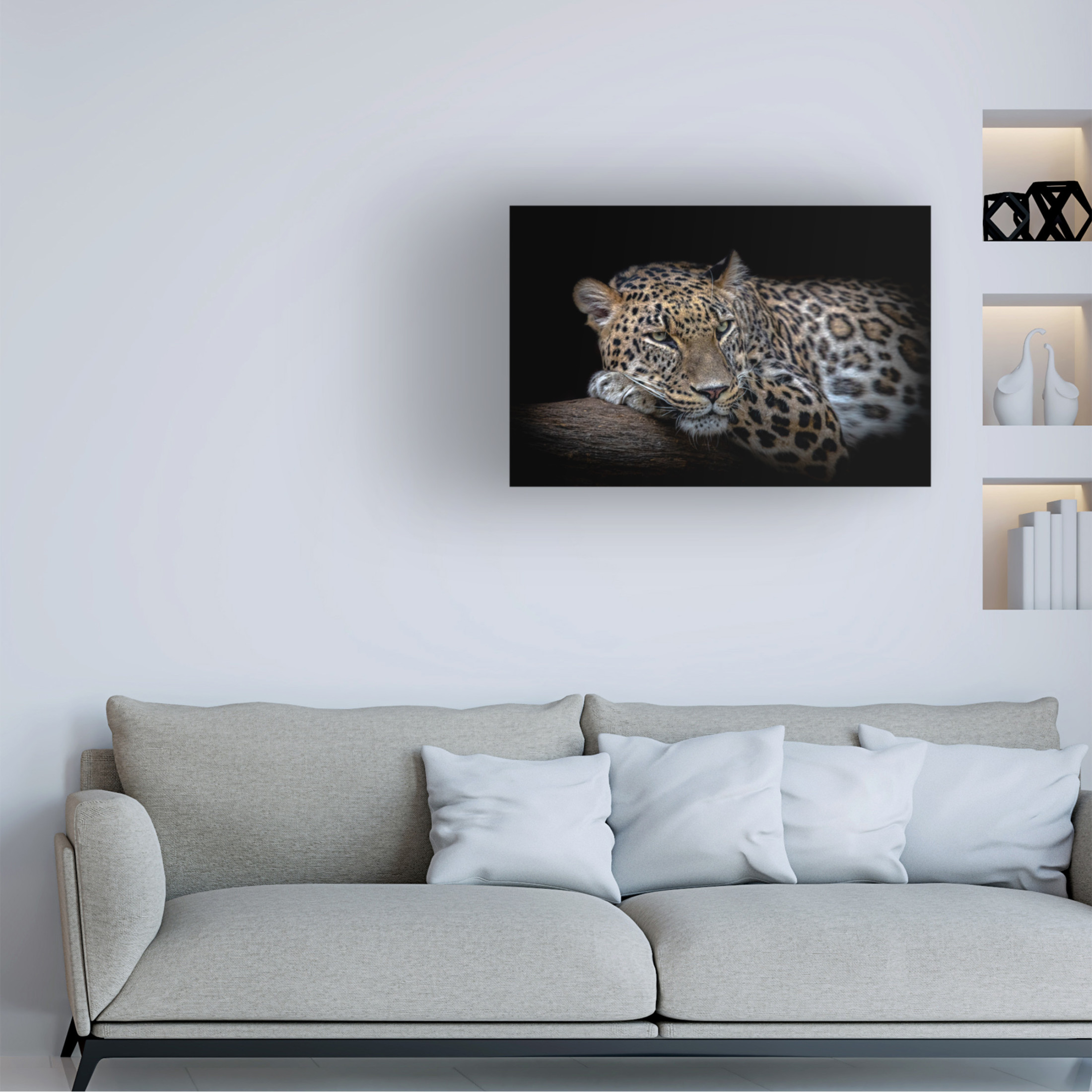 Trademark Fine Art Nauzet Baez Photography Leopard Resting Canvas Wall Art