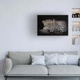 thumbnail image 2 of Trademark Fine Art Nauzet Baez Photography Leopard Resting Canvas Wall Art, 2 of 4