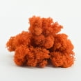 thumbnail image 1 of Musgo inmortal, planta de musgo en caja, pared de jardinería, musgo, escaparate, decoraciones interiores, micropaisaje, flor eterna, musgo., 1 of 6