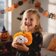thumbnail image 5 of 2PCS Halloween Pumpkin Dog Stuffed Animal, 9.84 in Pumpkin House And Dog Plush Toys Set, Halloween Indoor Decoration for Sofa Bedroom, Trick Or Treat Halloween Party Gift (White), 5 of 7