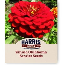 Harris Seeds - Zinnia Seeds - Oklahoma Scarlet Flower - Non-GMO - 1,000 Seeds