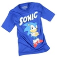 thumbnail image 3 of Sonic The Hedgehog Boy's Sonic Folded Arms Stance T-shirt, 3 of 3