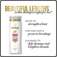 thumbnail image 3 of Pantene Shampoo, Beautiful Lengths for Strong Hair, 20.1 fl oz, 3 of 6