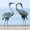 Blue, variant on 37-40Inch Outdoor Crane Garden Statues, Blue Heron Garden Statues, Large Metal Cranes for Yard, Lawn, Patio, Pond, Set of 2