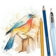 thumbnail image 3 of Lápices de Colores Acuarelables Pentel 12 U-CB9-12-EST, 3 of 5