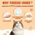 thumbnail image 4 of PAWMATE Freeze Dried Chicken Treats for Dogs & Cats, Healthy Single Ingredient, High Protein Snacks for Training, 10.23oz, 4 of 10