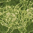 thumbnail image 1 of Ahgly Tapis d'Intérieur Lavable en Machine Carré Vert, 8 Pieds Carré, 1 of 7