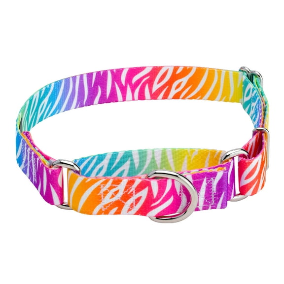 Country Brook Petz® Fashion Zebra Martingale Dog Collar, Small