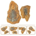thumbnail image 2 of 2Pcs Snake Reptiles Box Ornaments Creative Reptile Box Decors Diy Terrarium Decors, 2 of 6